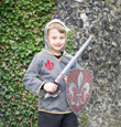 Knight Fancy Dress Accessory Set