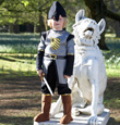 Medieval Soldier Boys Fancy Dress