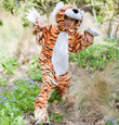 Tiger Fancy dress Costume