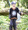 Viking Boys Fancy Dress Costume