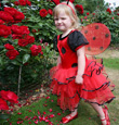 Ladybird Childrens Fancy Dress Costume